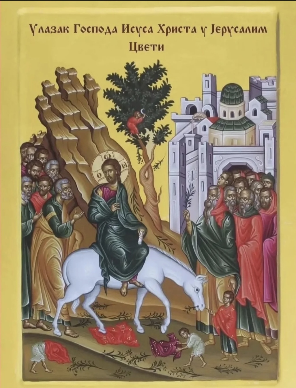 ЦВЕТИ