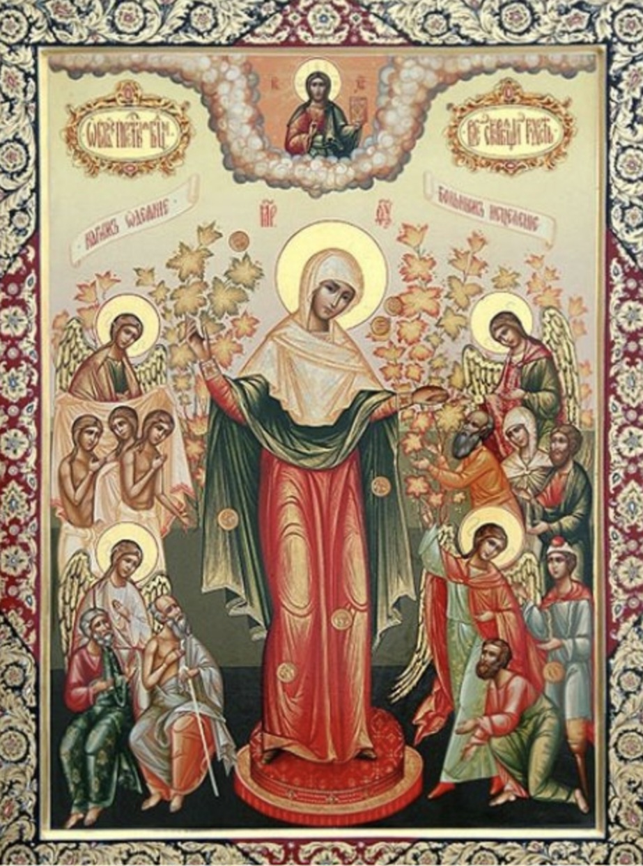 РАДОСТ ЖИВОТА